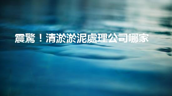 震驚！清淤淤泥處理公司哪家強？在線等，挺急的！